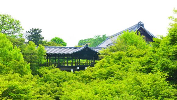 新緑の京都・滋賀・奈良探訪 3日間