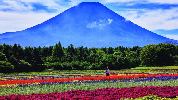 初秋のさわやか富士五湖周遊 2日間