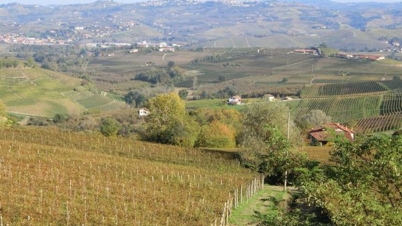 ANAで行く 北イタリア2大ワイン産地と白トリュフ祭り 7日間