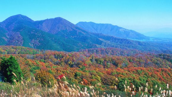 紅葉の蒜山高原と“天空の山城”展望 3日間