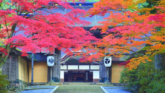 天空の聖地 紅葉の高野山を歩く ３日間