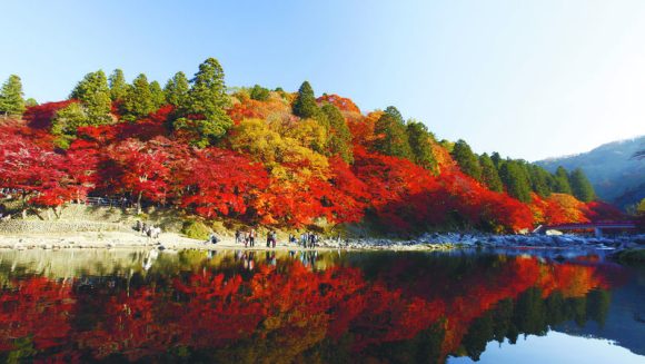 秋のお伊勢参りと東海道紅葉絶景 4日間