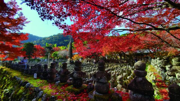 秋色に染まる 奈良・京都 昼夜の撮影旅行 3日間