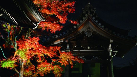 幻想的な紅葉を愉しむ 妙満寺夜間特別拝観 ２日間