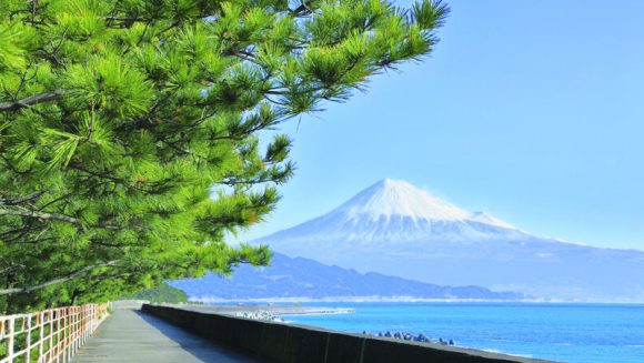 年末年始 ゆったり巡る 東海・京都・奈良・北陸の旅 7日間