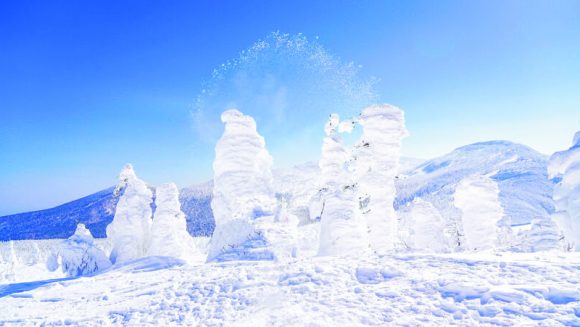 「ワイルドモンスター号」で行くみやぎ蔵王の樹氷 3日間