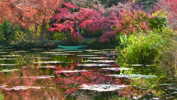 牧野植物園と「モネの庭」マルモッタンを訪ねる 3日間