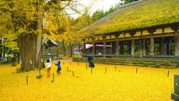 鬼怒川の贅なる宿とふくしま絶景旅 3日間