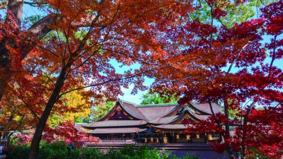 京都の秋の贅沢 紅葉をじっくり愛でる 3日間