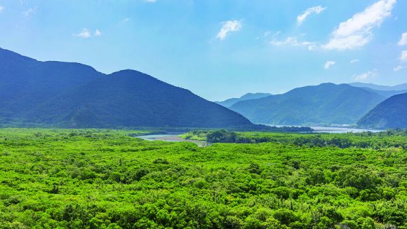 南の楽園 世界自然遺産奄美大島を訪ねる 4日間（12月2日出発）