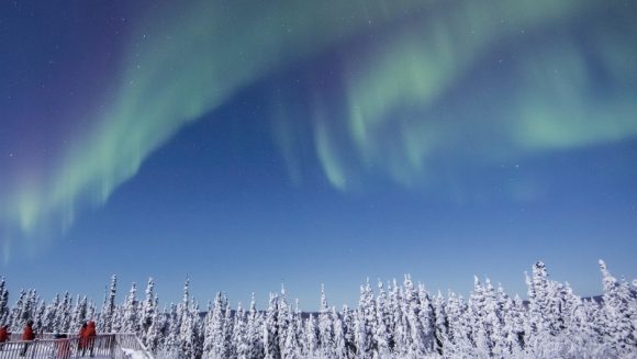 絶景のアラスカ鉄道と神秘のオーロラを求めて 7日間