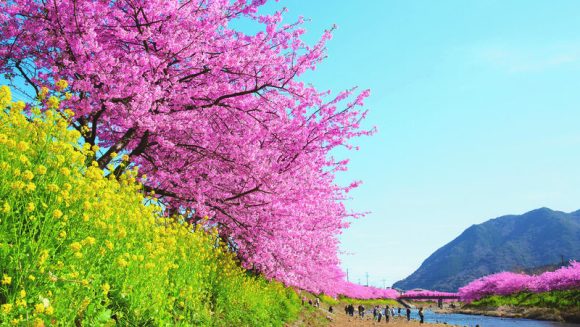 花の伊豆 2つの至福の宿に寛ぐ 3日間