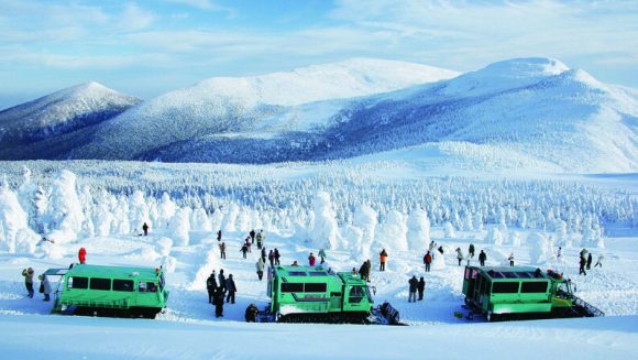 〈3days 〉Nikko, Zao(Snow monsters), Matsushima