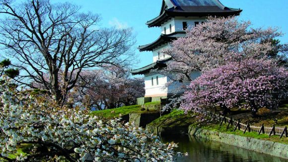 日本最北端の城下町「松前」と「函館」の桜 ３日間