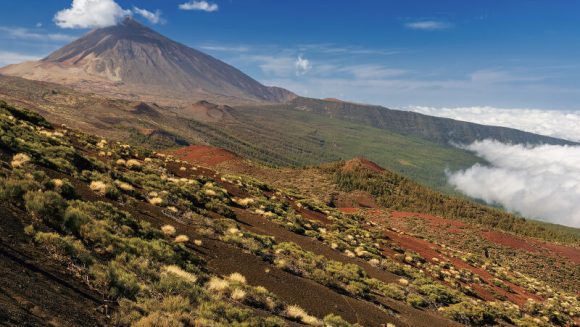 大西洋に浮かぶ世界遺産 固有の花咲くカナリア諸島ウォーキング 9日間