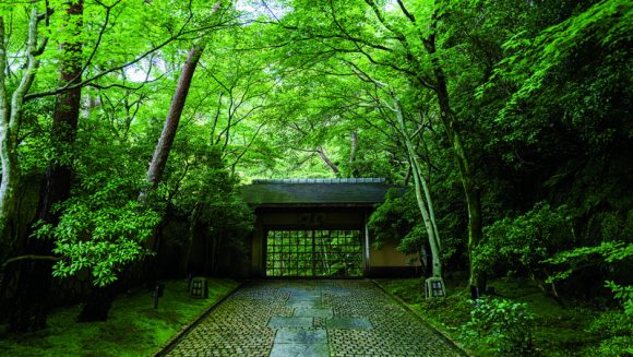 文化・歴史と絶景の旅 雲仙・天草 3日間