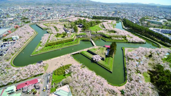 春色に輝く青森と函館を桜で繋ぐ旅 3日間