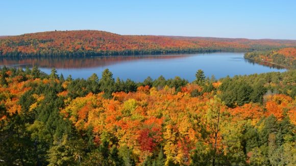 紅葉の知られざるアルゴンキンの森へ 9日間