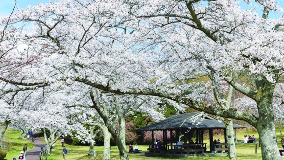 全室自家源泉の露天風呂付の宿「はつはな」に泊まる 2日間