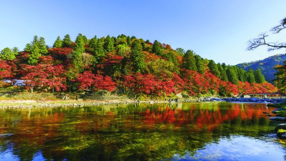 香嵐渓の紅葉と“音楽の都”浜松 3日間