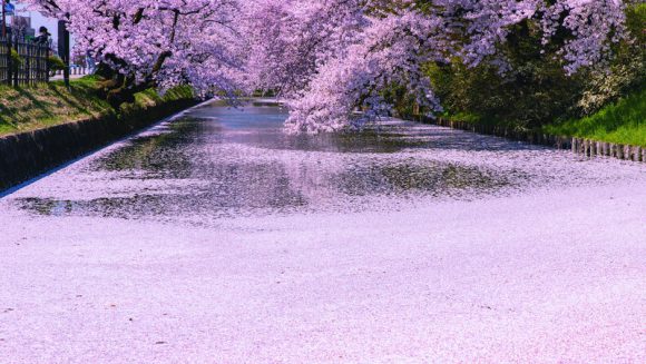 春めく東北縦断の旅 5日間