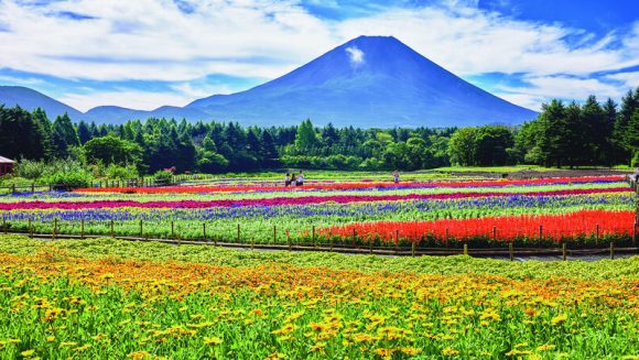 初秋のさわやか富士五湖周遊 2日間