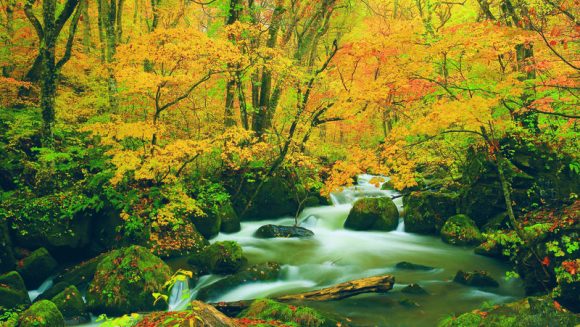 紅葉が彩る日本大周遊〈東日本編〉 7日間
