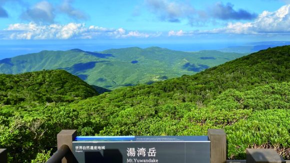 南の楽園 世界自然遺産奄美大島を訪ねる 4日間