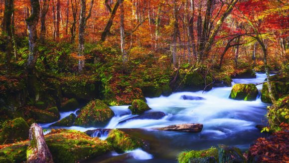 秋高しみちのく 紅葉の中を走りゆく 5日間