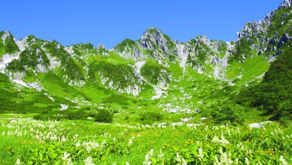 風立ちぬ 千畳敷のお花畑と八ヶ岳 ３日間