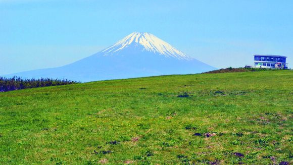 サフィール踊り子で行く伊豆箱根と花火が彩る横浜 3日間