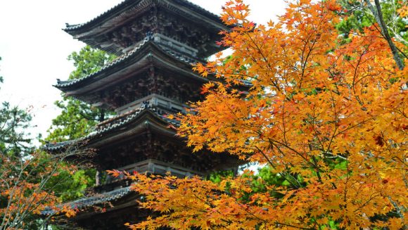 島が色づく秋の佐渡 3日間