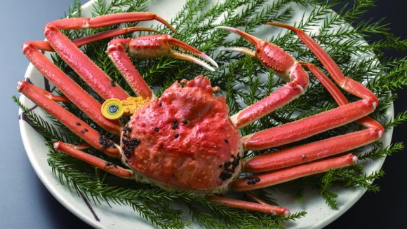 冬の福井で「越前がに」と「せいこがに」を食す 3日間