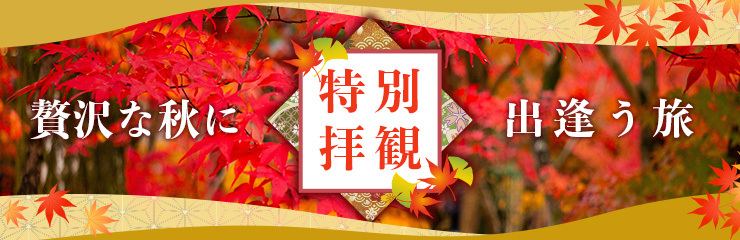 紅葉とともに味わう贅沢な秋旅 2025