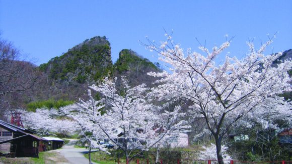 桜と金山を辿る黄金KAIDO縦断 5日間