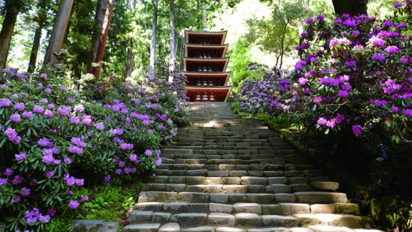 古都奈良の花寺を巡る旅 3日間