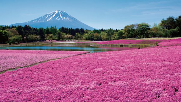 <2Days>Mt.Fuji area(Lake Motosu, Lake Yamanaka)