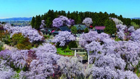 花盛りの福島・山形・新潟へ 3日間