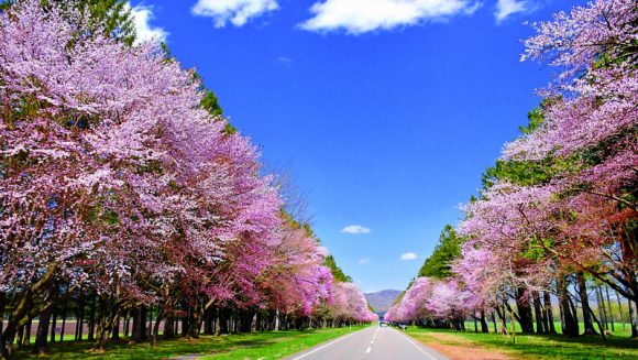 春風薫る道南を訪ねて 3日間