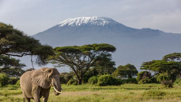 ケニアでサファリ ７日間