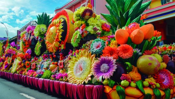 南国の宝石 ダバオ・ボホール・セブ ３島めぐり ７ 日間