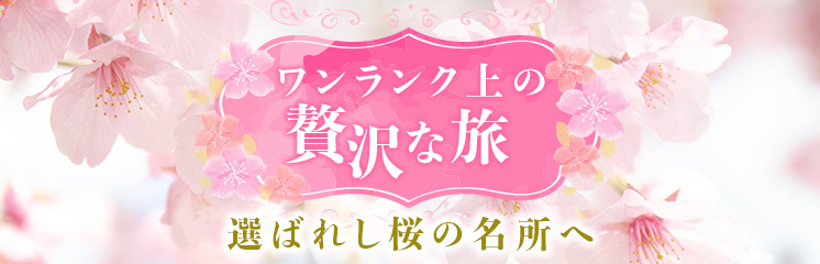 心華やぐ日本の春、桜の名所｜名城・観光列車・温泉を巡る贅沢な休日