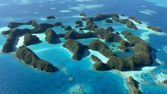 直行便就航・特別企画  ユナイテッド航空で行くパラオ ５日間