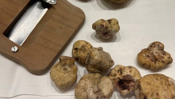 岩永です！「北イタリア2大ワイン産地と白トリュフ祭り 8日間」から帰国しました！【添乗ブログ】