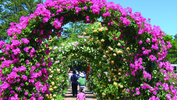 天浜線貸切乗車と遠州花めぐり ３日間