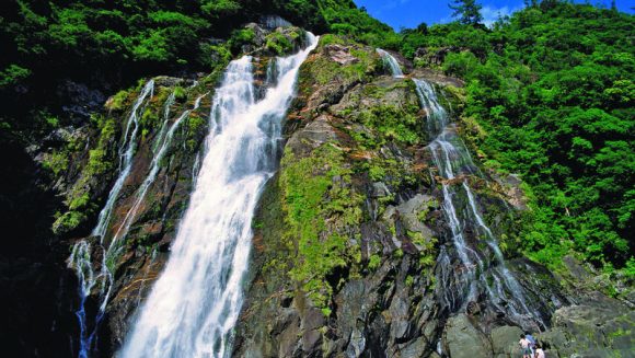 ジャンボタクシーでゆったり巡る屋久島 ３日間