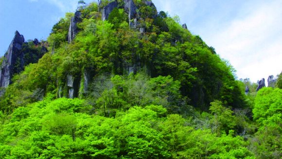 歴史と自然美の国東半島・耶馬渓 ３日間