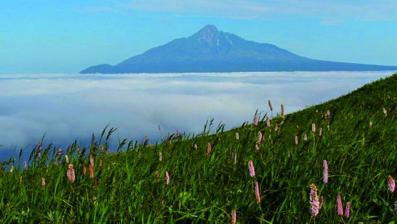 （７月発）秀峰抱く利尻島と礼文島フラワーハイキング ４日間