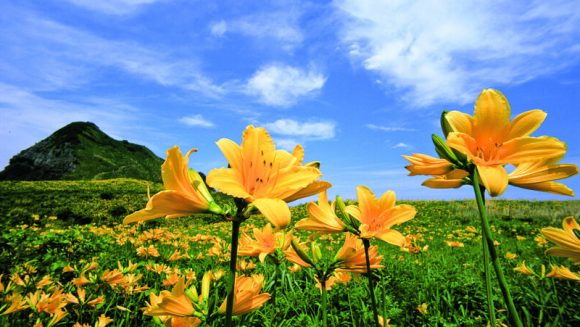 花と海と歴史が集う島・佐渡体感 ３日間