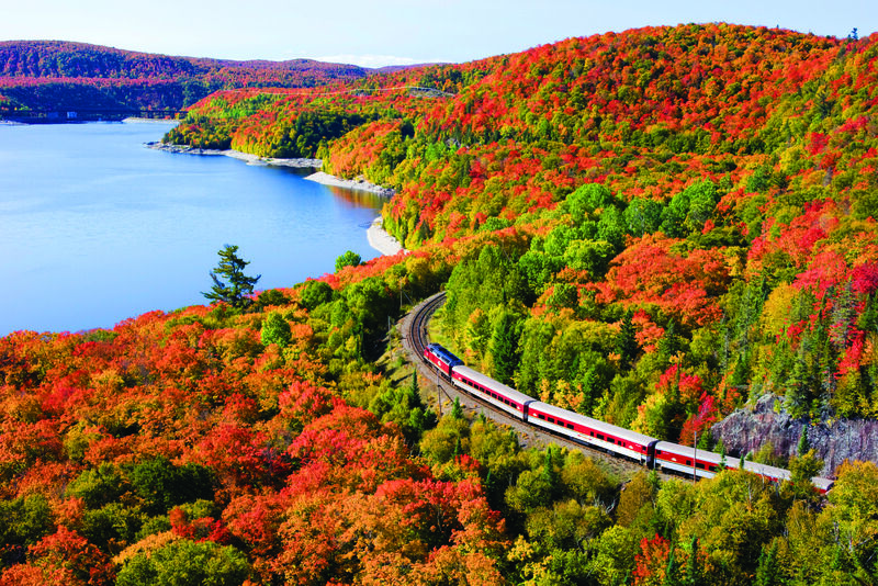 アガワキャニオントレイン ©Agawa Canyon Railway